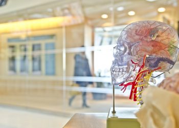 Fundamental differences between art and science