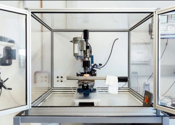 This scientist cultivates human bones for surgical reconstruction