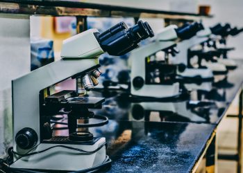 Why are science and technology articles so shared?