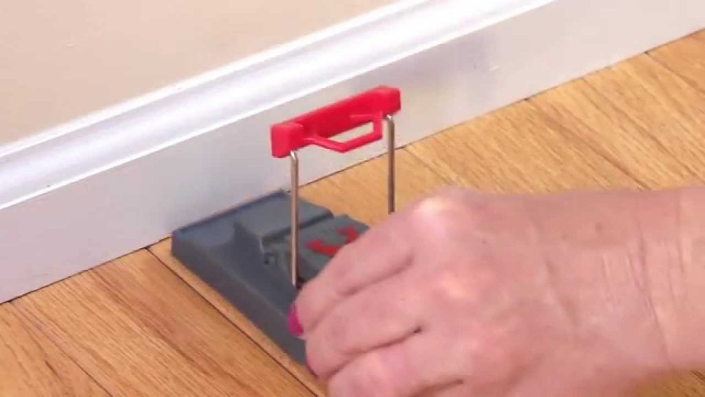 Best Places to Put Your Mouse Traps in Your House