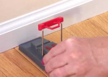 Best Places to Put Your Mouse Traps in Your House