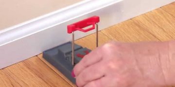 Best Places to Put Your Mouse Traps in Your House