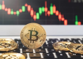 Dive into Crypto From Cash - See Through the Eyes of the World