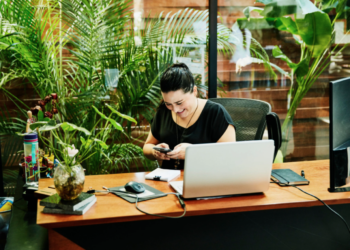 Is Bamboo Plant An Air-Purifying Plant?