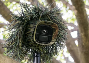 3 Ways to Secure Your Backyard