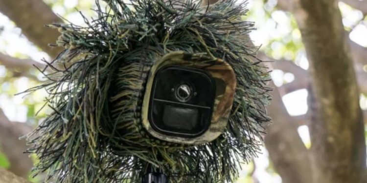 3 Ways to Secure Your Backyard