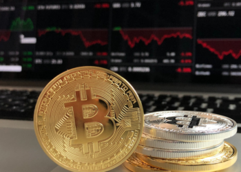 A Beginner's Guide to Owning Bitcoins by A First-Time Crypto Trader