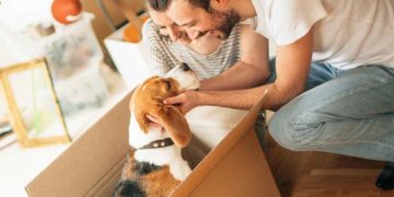 4 Tips When Moving with Pets