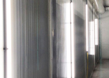 Maximizing Mushroom Cultivation Harnessing the Power of Proper Lighting