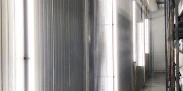 Maximizing Mushroom Cultivation Harnessing the Power of Proper Lighting