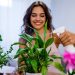 Lucky Plants to Have in Your Home