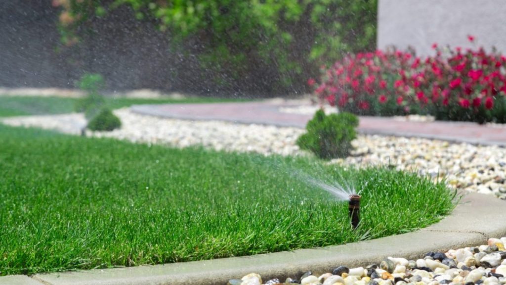 The Essential Guide to Lawn Care Services in Salt Lake City