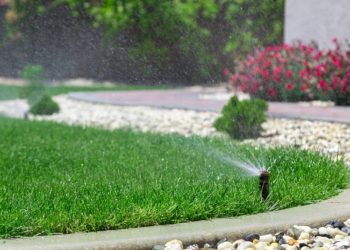 The Essential Guide to Lawn Care Services in Salt Lake City