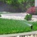 The Essential Guide to Lawn Care Services in Salt Lake City