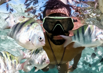 Fish Care Tips when going on a Vacation