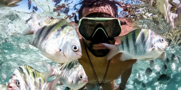 Fish Care Tips when going on a Vacation