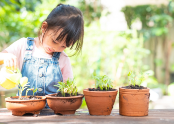 Kids and Plants Childproofing Your Indoor Condo Greenery