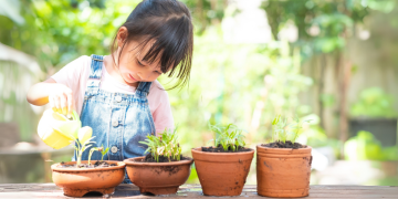 Kids and Plants Childproofing Your Indoor Condo Greenery