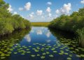Scenic Everglades National Park wetlands with lush greenery and waterways under blue sky