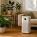 Indoor plants and open windows promoting fresh, clean air circulation in a modern living room
